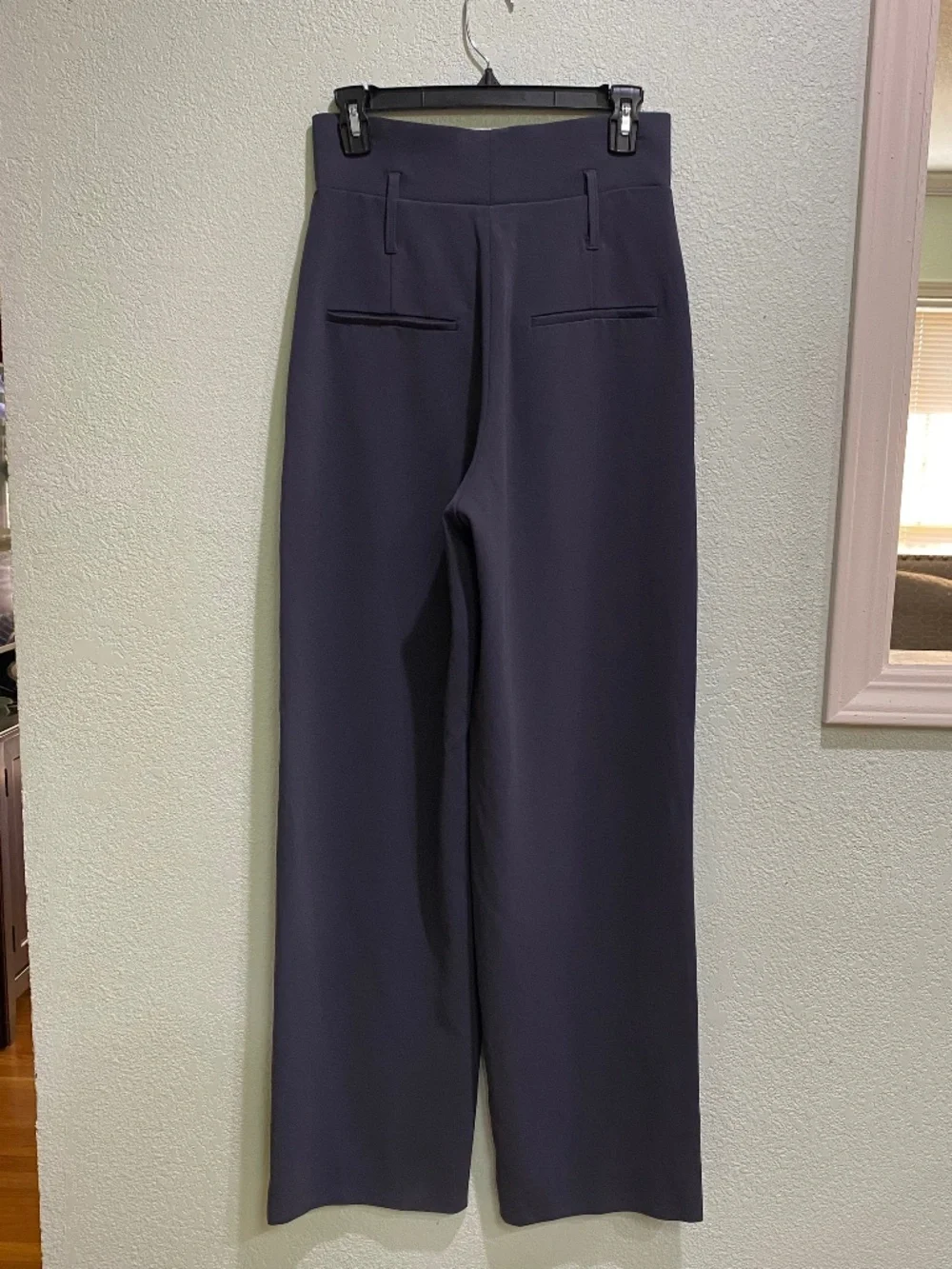Babaton Aritzia Pants